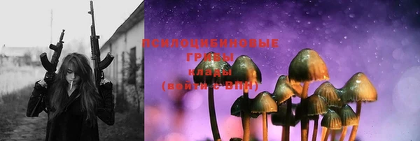 стаф Елизово