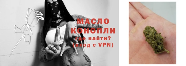 стаф Елизово