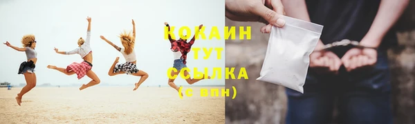 mix Ельня