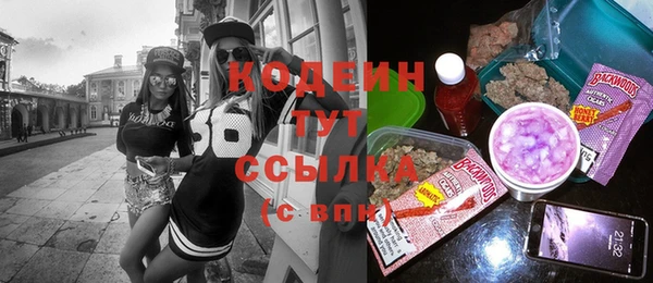 стаф Елизово