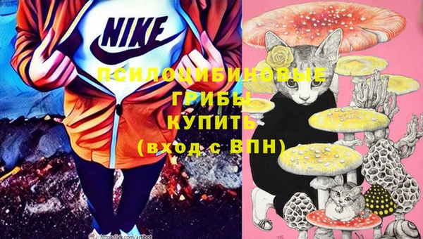 mix Ельня