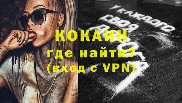 стаф Елизово