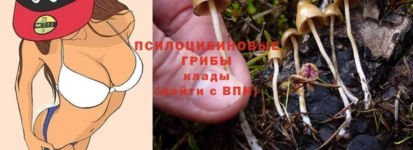 mix Ельня