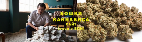mix Ельня
