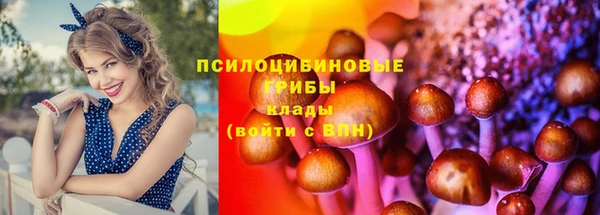 стаф Елизово